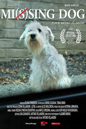 Mi(s)sing Dog's poster