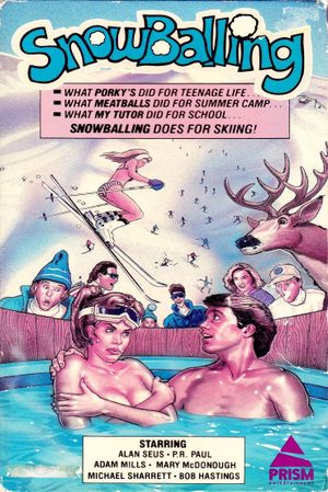 Snowballing's poster