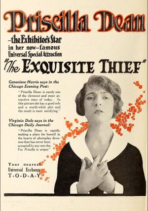 The Exquisite Thief's poster