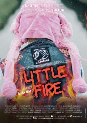 Little Fire's poster image