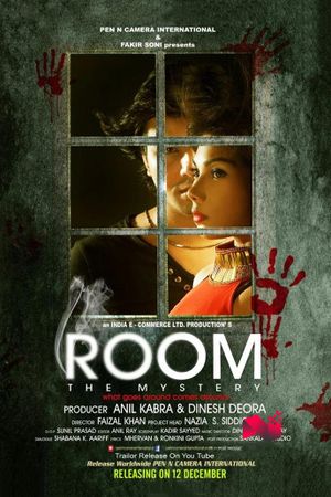 Room: The Mystery's poster image