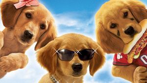 Air Buddies's poster