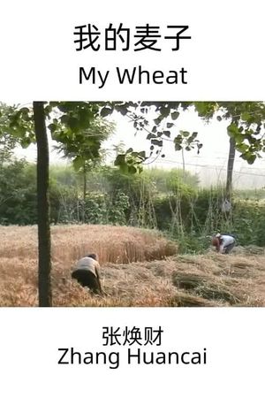 My Wheat's poster