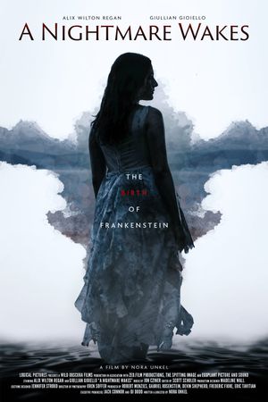 A Nightmare Wakes's poster