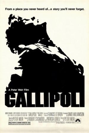 Gallipoli's poster