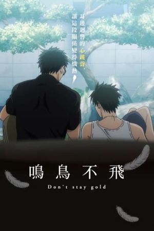 Twittering Birds Never Fly: Don't Stay Gold's poster