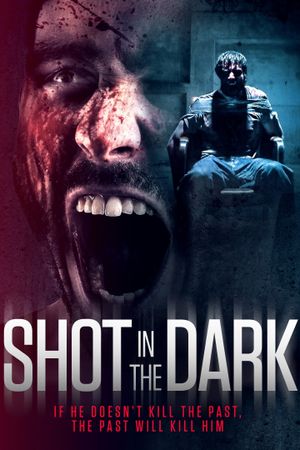 Shot in the Dark's poster