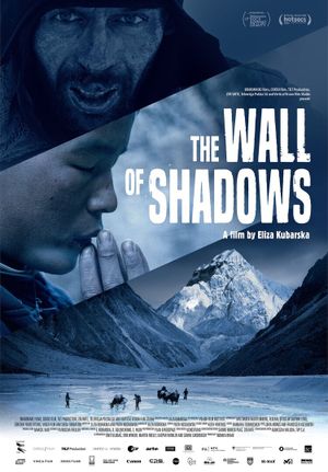 The Wall of Shadows's poster