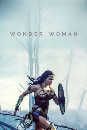 Wonder Woman's poster