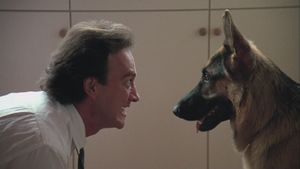 K-9's poster