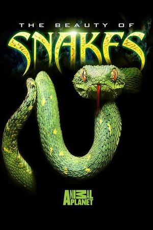 The Beauty of Snakes's poster