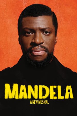 Mandela's poster