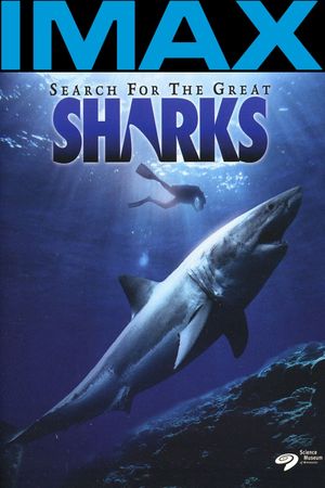 Search for the Great Sharks's poster