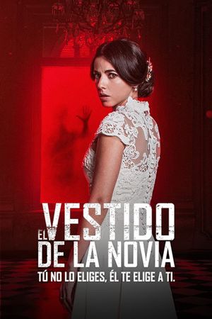 El Vestido De La Novia's poster