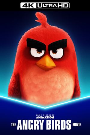 The Angry Birds Movie's poster