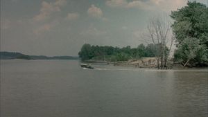 The River Rat's poster
