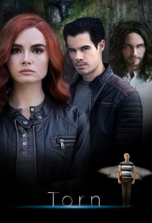 Torn's poster