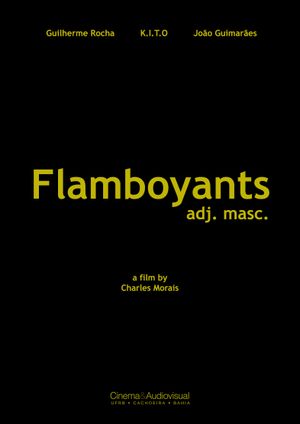 Flamboyants's poster