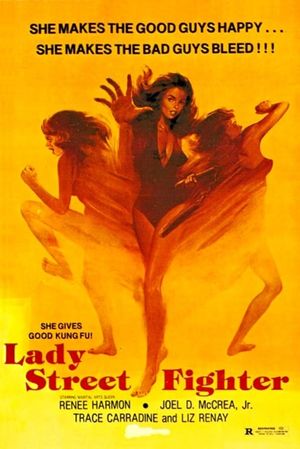 Lady Street Fighter's poster