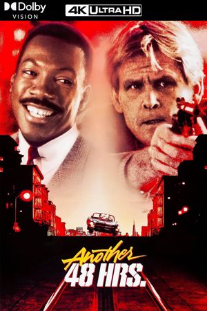 Another 48 Hrs.'s poster