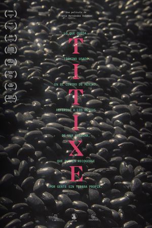 Titixe's poster
