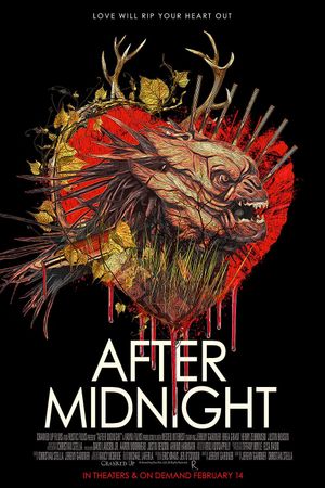 After Midnight's poster