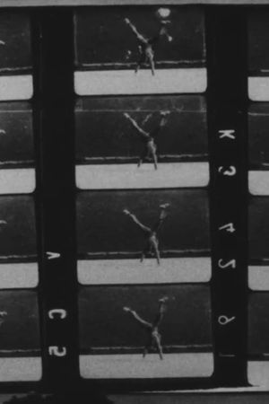Muybridge Film's poster