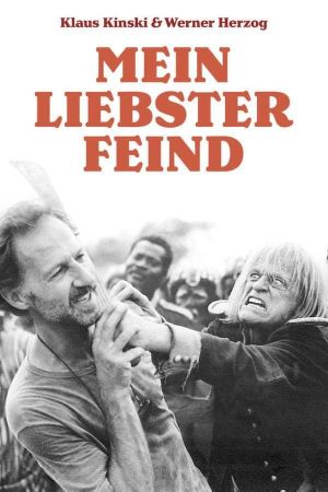 My Best Fiend's poster