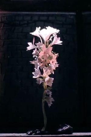 A brightening life's poster
