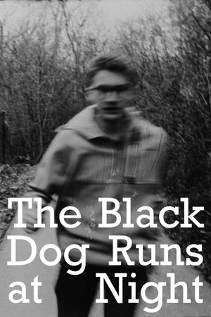 The Black Dog Runs At Night's poster
