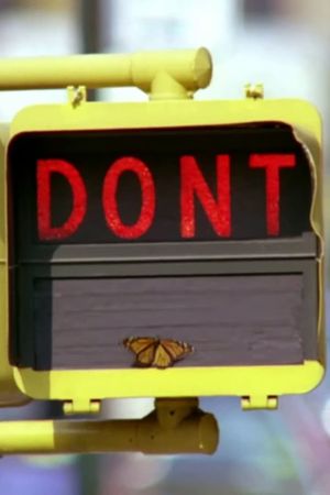 Don't's poster