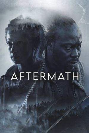 Aftermath's poster