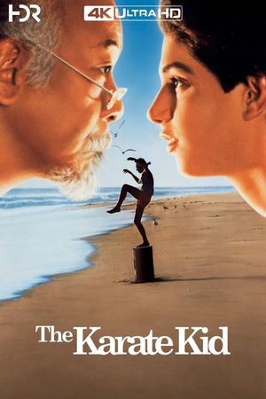 The Karate Kid's poster