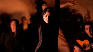 Flamenco Flamenco's poster