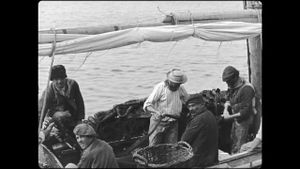Sardine fishing's poster