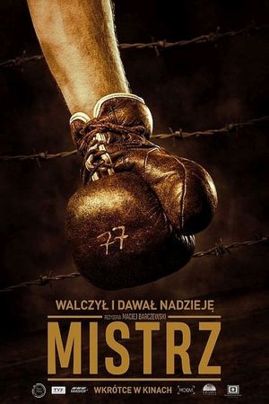 The Champion's poster
