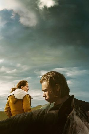 Montana Story's poster