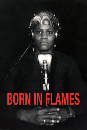 Born in Flames's poster
