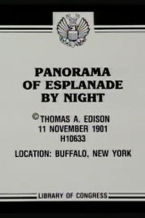 Panorama of Esplanade by Night's poster