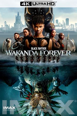 Black Panther: Wakanda Forever's poster