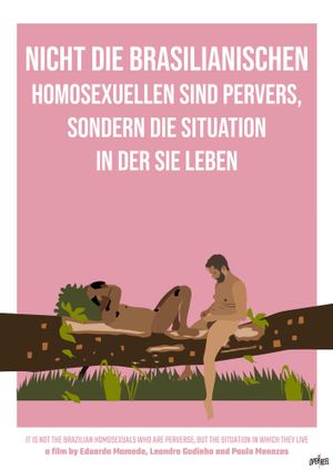 It Is Not the Brazilian Homosexuals Who Are Perverse, But the Situation in Which They Live's poster