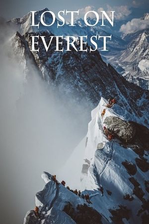 Lost on Everest's poster