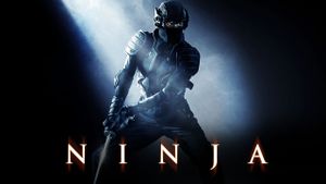 Ninja's poster