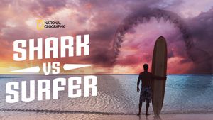 Shark vs. Surfer's poster