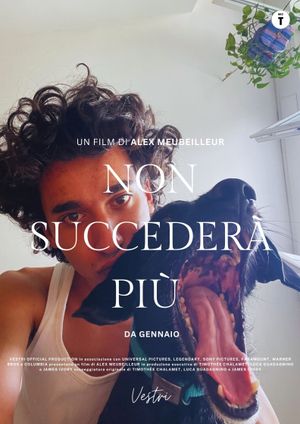 Non succederà più's poster