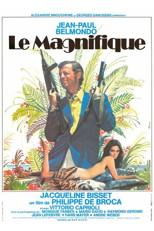 Le Magnifique's poster