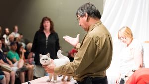 Catwalk: Tales from the Cat Show Circuit's poster