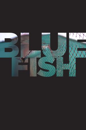 Bluefish's poster