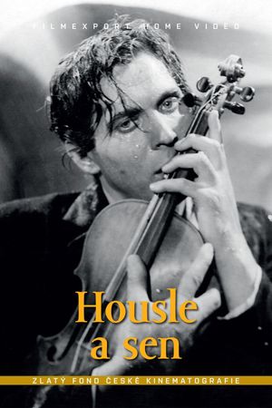 Housle a sen's poster