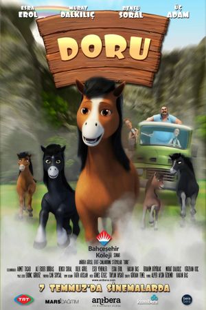 Doru's poster